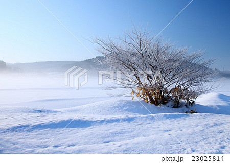 真冬の田園 真冬の田園 23025814