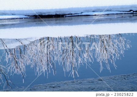 冬の水辺 冬の水辺 23025822