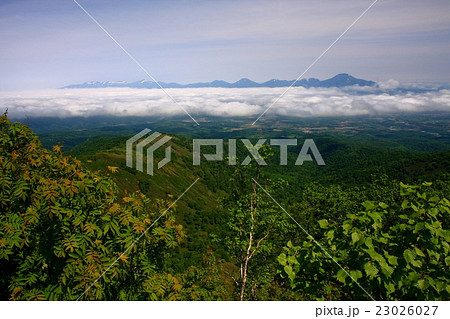 昆布岳から見る初夏のニセコ連峰 23026027