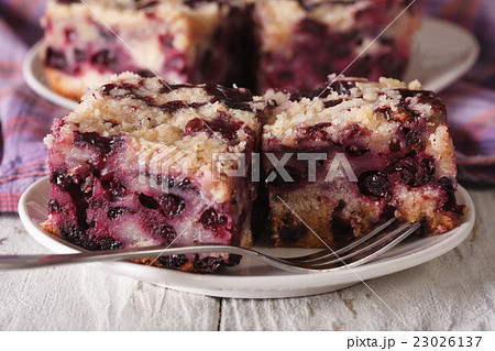 Sponge cake with blueberries close-up on a plate 23026137