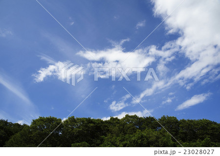 晴天青空と白い雲の背景イメージ建築完成予想図パース素材新緑森の遠景あり横画面 23028027