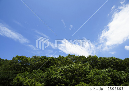 晴天青空と白い雲の背景イメージ建築完成予想図パース素材新緑森の遠景あり横画面の写真素材