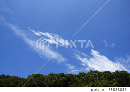 晴天青空と白い雲の背景イメージ建築完成予想図パース素材新緑森の遠景あり横画面 23028036