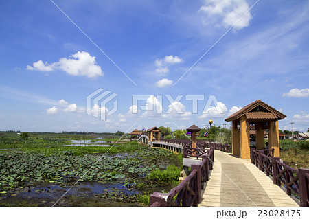 sky cloud over Thale Noi Waterfowl Park sky cloud over Thale Noi Waterfowl Park 23028475