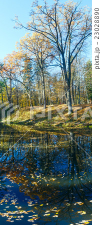 Pond in autumn park. 23028890
