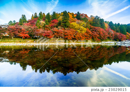 香嵐渓の秋 23029015