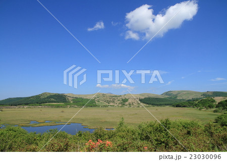 ビーナスライン 霧ヶ峰八島ヶ原湿原 ビーナスライン 霧ヶ峰八島ヶ原湿原 23030096