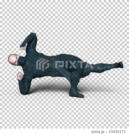 忍者 忍者 23030171