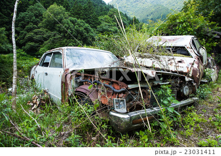 廃車 草むらに埋もれる廃棄自動車 の写真素材