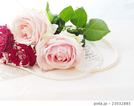 真珠のネックレスとバラの花 23032885