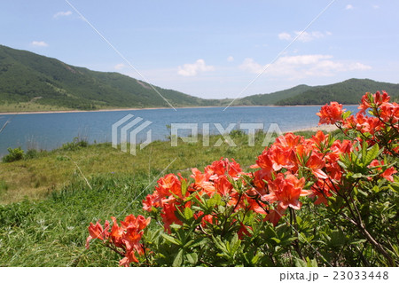 湖畔の風景 湖畔の風景 23033448