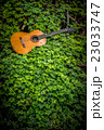 classic guitar on wood background with green leaf 23033747