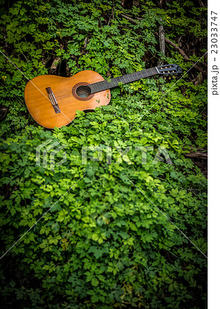 classic guitar on wood background with green leaf 23033747