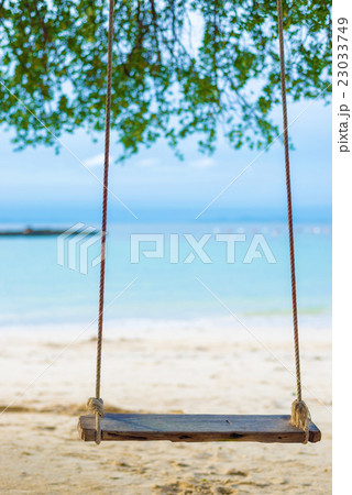 Swing hang from the tree over beach 23033749