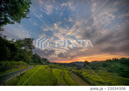 下赤坂棚田 23034306