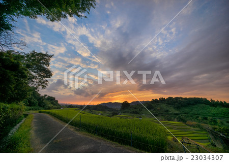 下赤坂棚田 23034307