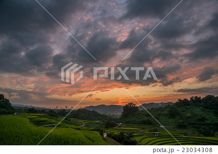 下赤坂棚田 23034308