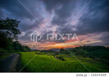 下赤坂棚田 下赤坂棚田 23034309