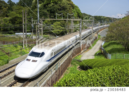 東海道新幹線　700系　C編成 23036483