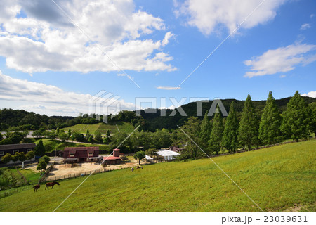 鞍ヶ池公園 23039631