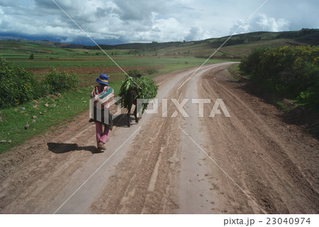 ペルー 23040974