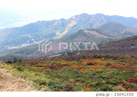 蔵王の紅葉 蔵王の紅葉 23041350