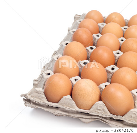 eggs pack panel ingredient prepare for food 23042170