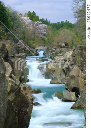 春の厳美渓(岩手県一関市) 春の厳美渓(岩手県一関市) 23042477