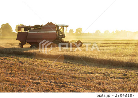 Farmer in tractor driving to the field 23043187