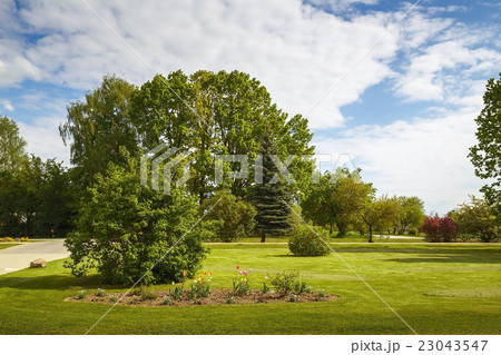 summer meadow on a sunny day 23043547
