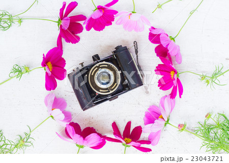 Old camera and flowers Old camera and flowers 23043721