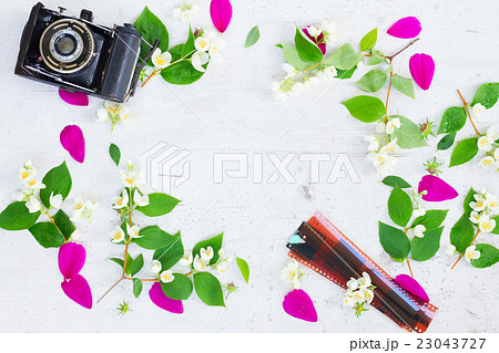 Old camera and flowers 23043727