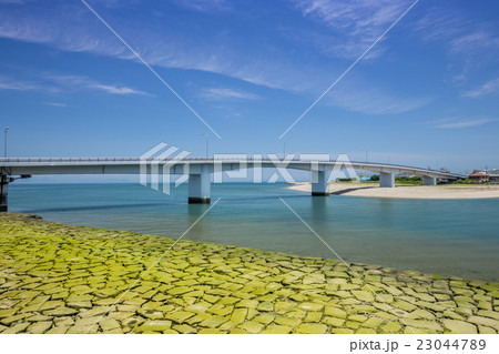 新長浜大橋と肱川河口(愛媛県大洲市) 新長浜大橋と肱川河口(愛媛県大洲市) 23044789