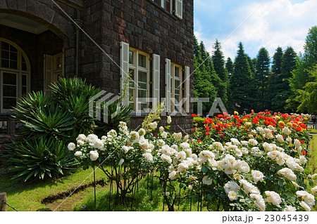 旧古河庭園のカラフルなバラの花と洋館 旧古河庭園のカラフルなバラの花と洋館 23045439