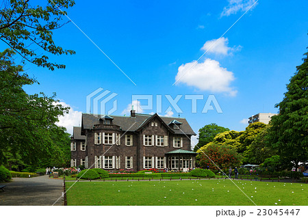 若葉と新緑の旧古河庭園の洋館と青い空 23045447