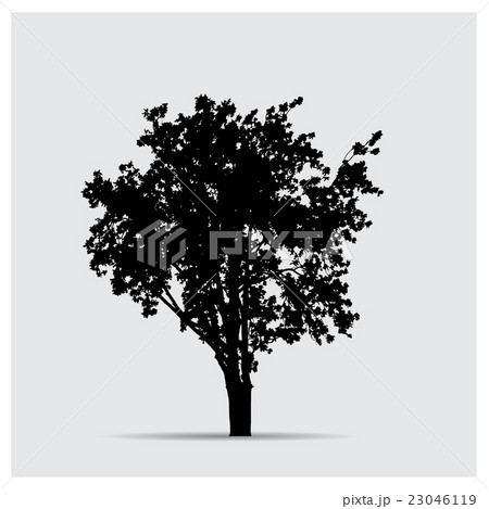 Vector tree silhouettes 23046119