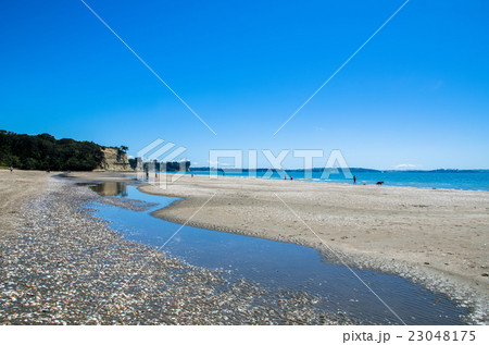 Long Bay Regional Park in Auckland,New Zealand. 23048175