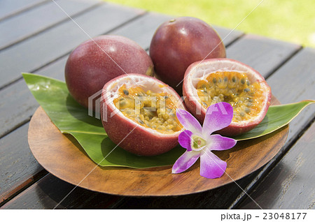 パッションフルーツ 23048177
