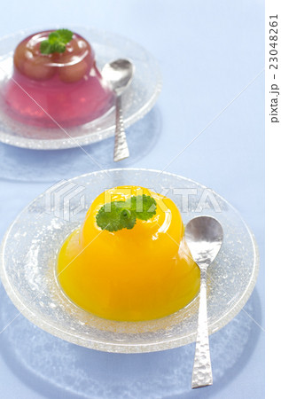 ゼリー ゼリー 23048261