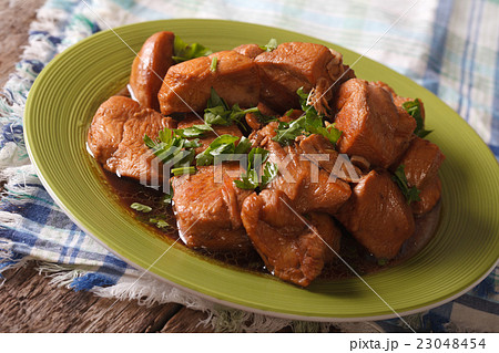 Chicken in Adobo sauce closeup on a plate Chicken in Adobo sauce closeup on a plate 23048454
