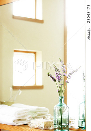 花を飾った洗面所の棚の写真素材