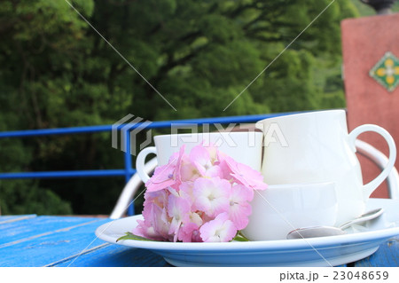 コーヒーカップ 23048659