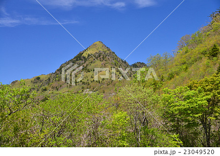 西黒森（愛媛県西条市） 23049520