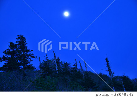 月夜の白骨林(愛媛県西条市瓶ヶ森) 月夜の白骨林(愛媛県西条市瓶ヶ森) 23049545