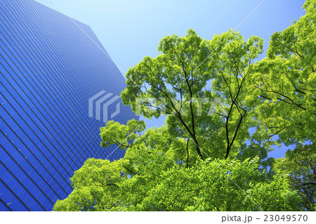 大阪ビジネスパーク・新緑とビル 23049570