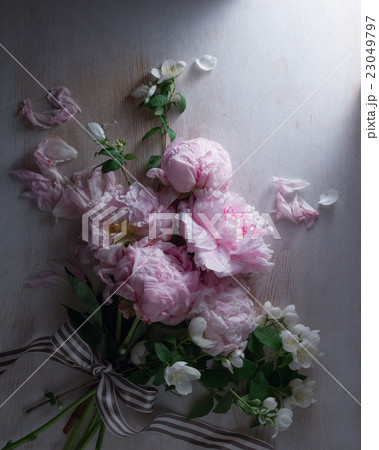 シャクヤクの花束 23049797