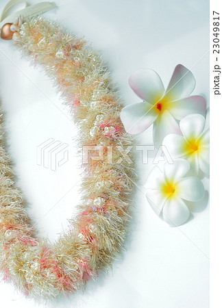 ハワイアンリボンレイ ハワイアンリボンレイ 23049817