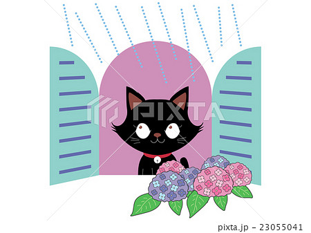 雨降る窓辺の黒猫とあじさい  23055041