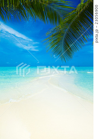 beach in Maldives 23056900