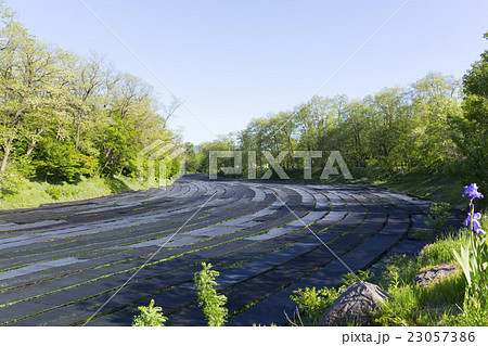 安曇野のわさび田 23057386